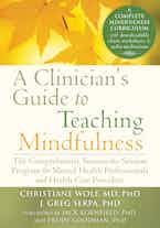 A Clinician's Guide to Teaching Mindfulness cover image