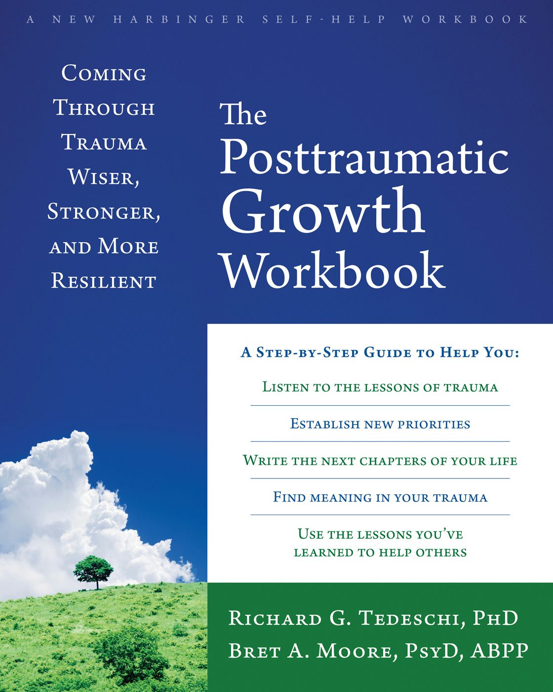 健康・医学 HANDBOOK OF POSTTRAUMATIC GROWTH 9781626254688.jpg?auto=format&